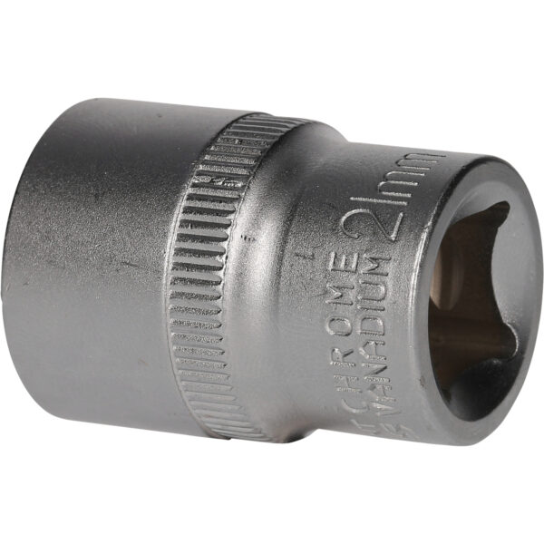 FOT_PRO_VAR_BT022811.1_SALL_AING_V1