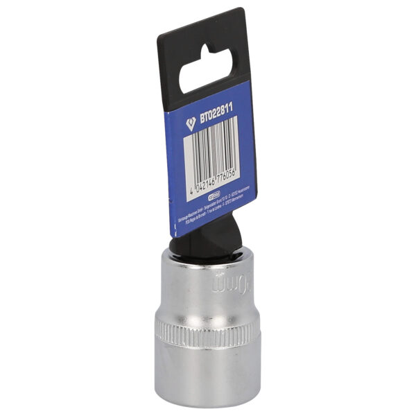 FOT_PRO_VAR_BT022811.5_SALL_AING_V1