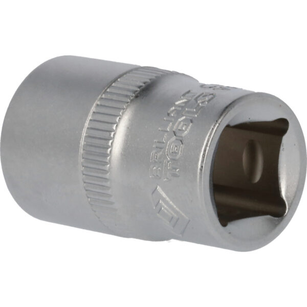 FOT_PRO_VAR_BT022809.1_SALL_AING_V1