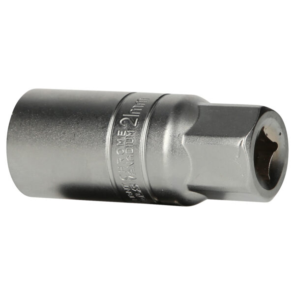 FOT_PRO_VAR_BT021852.1_SALL_AING_V1