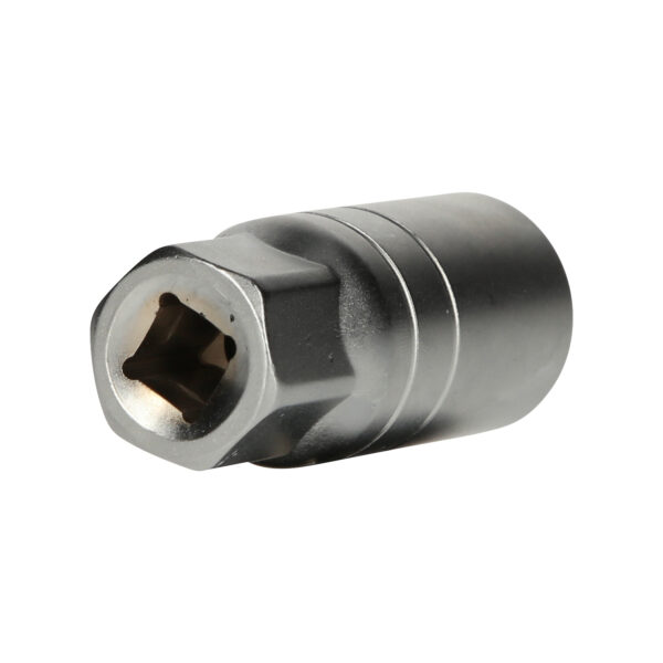 FOT_PRO_VAR_BT021852.2_SALL_AING_V1