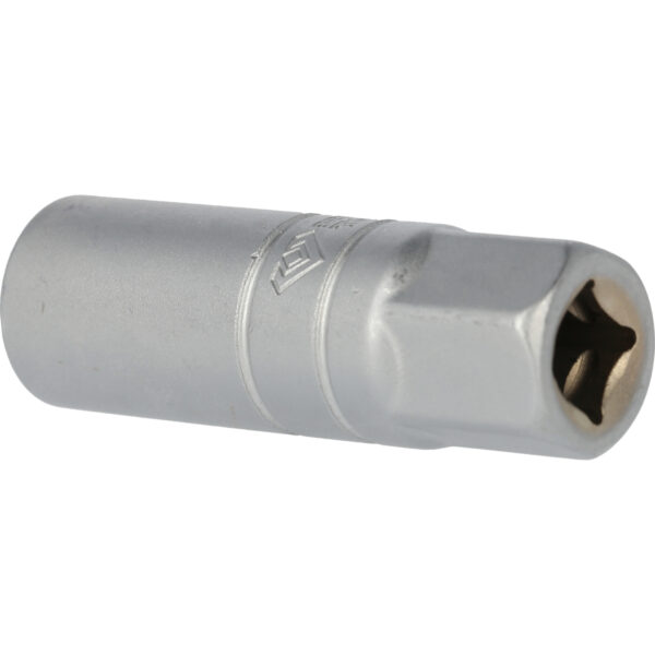 FOT_PRO_VAR_BT021850.1_SALL_AING_V1