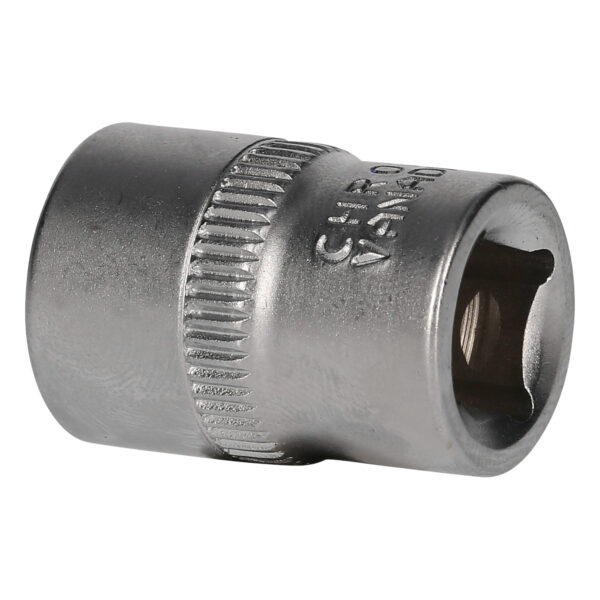 FOT_PRO_VAR_BT021839.1_SALL_AING_V1