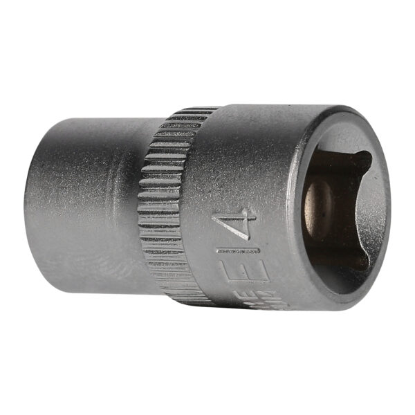 FOT_PRO_VAR_BT021838.1_SALL_AING_V1