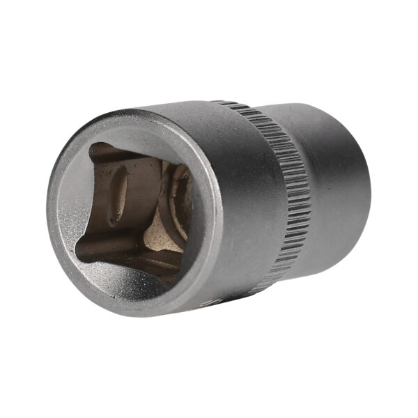 FOT_PRO_VAR_BT021838.2_SALL_AING_V1