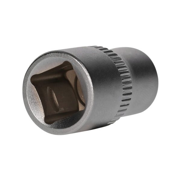 FOT_PRO_VAR_BT021837.2_SALL_AING_V1