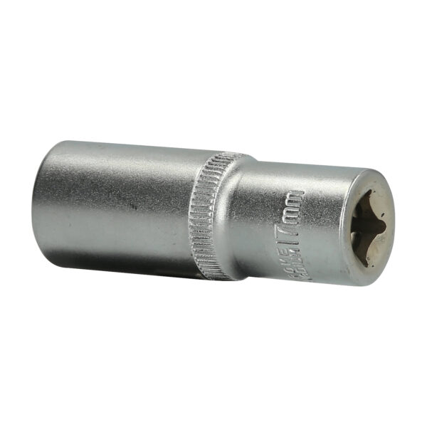 FOT_PRO_VAR_BT021828.1_SALL_AING_V1