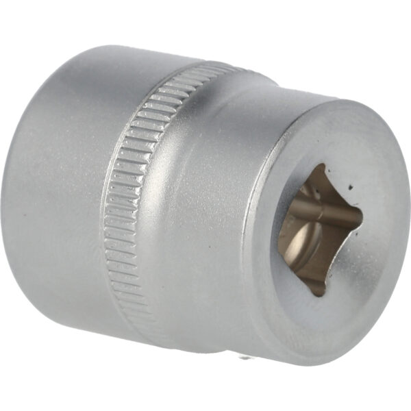 FOT_PRO_VAR_BT021816.1_SALL_AING_V1