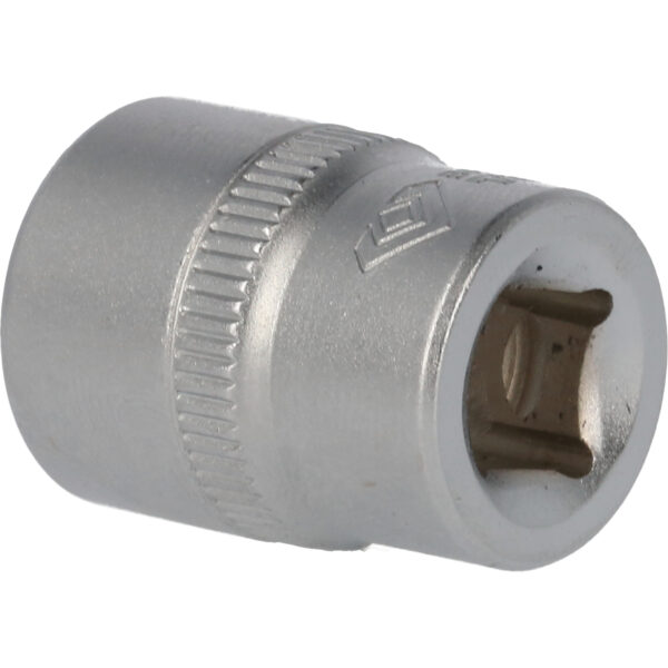 FOT_PRO_VAR_BT021811.1_SALL_AING_V1