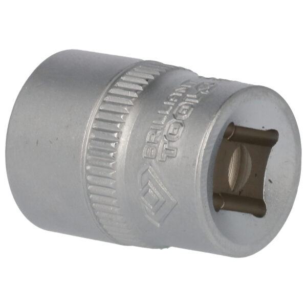 FOT_PRO_VAR_BT021810.1_SALL_AING_V1