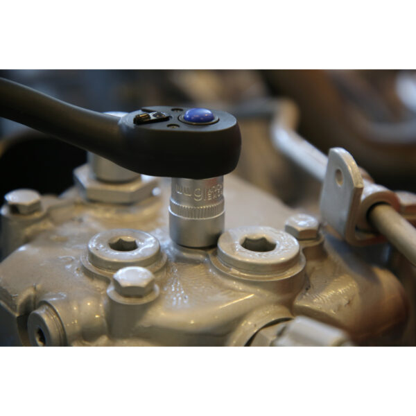 FOT_ANW_ALG_BT_BT021810.AW1_SALL_AING_V1