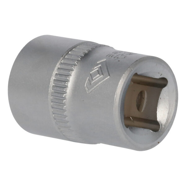 FOT_PRO_VAR_BT021808.1_SALL_AING_V1