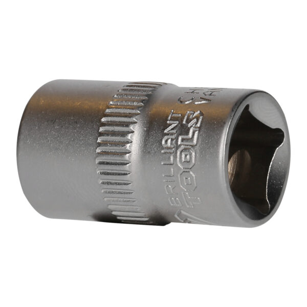 FOT_PRO_VAR_BT021806.1_SALL_AING_V1