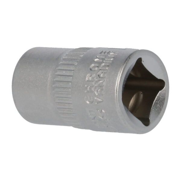 FOT_PRO_VAR_BT021805.1_SALL_AING_V1