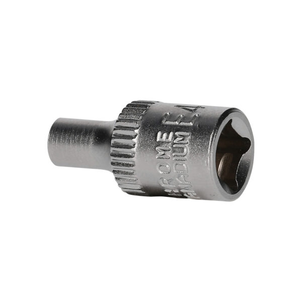 FOT_PRO_VAR_BT020960.1_SALL_AING_V1