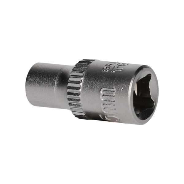 FOT_PRO_VAR_BT020933.1_SALL_AING_V1