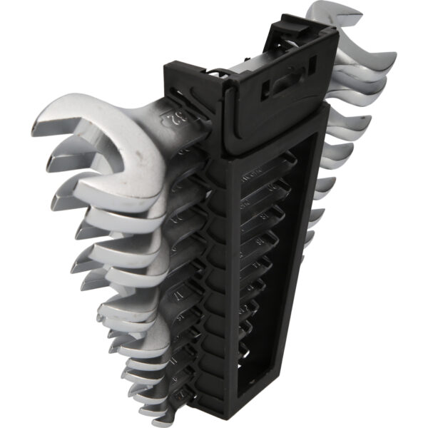 FOT_PRO_VAR_BT010012.1_SALL_AING_V1