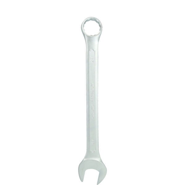 FOT_PRO_VAR_BT011927.2_SALL_AING_V1