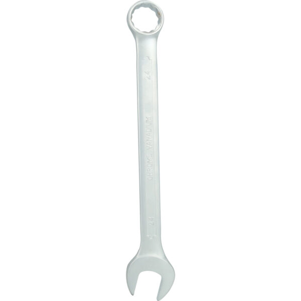 FOT_PRO_VAR_BT011924.2_SALL_AING_V1