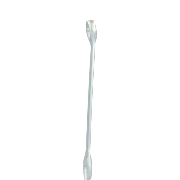 FOT_PRO_VAR_BT011922.1_SALL_AING_V1