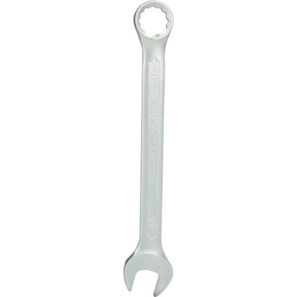 FOT_PRO_VAR_BT011917.2_SALL_AING_V1