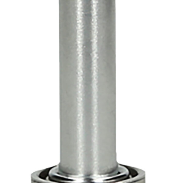 FOT_PRO_ALG_914.1420_SALL_AING_V1