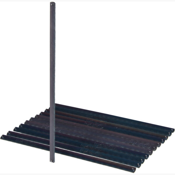 FOT_PRO_ALG_997.1216_SALL_AING_V1