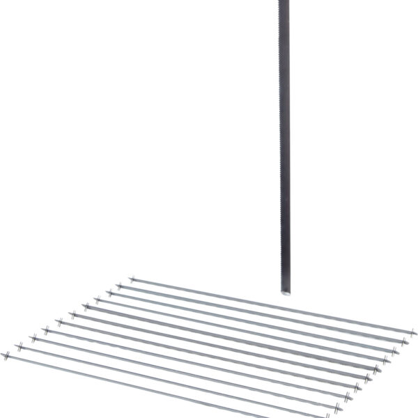 FOT_PRO_VAR_997.1216.2_SALL_AING_V1