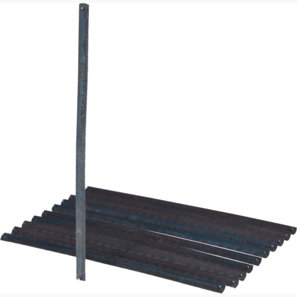 FOT_PRO_ALG_997.1214_SALL_AING_V1