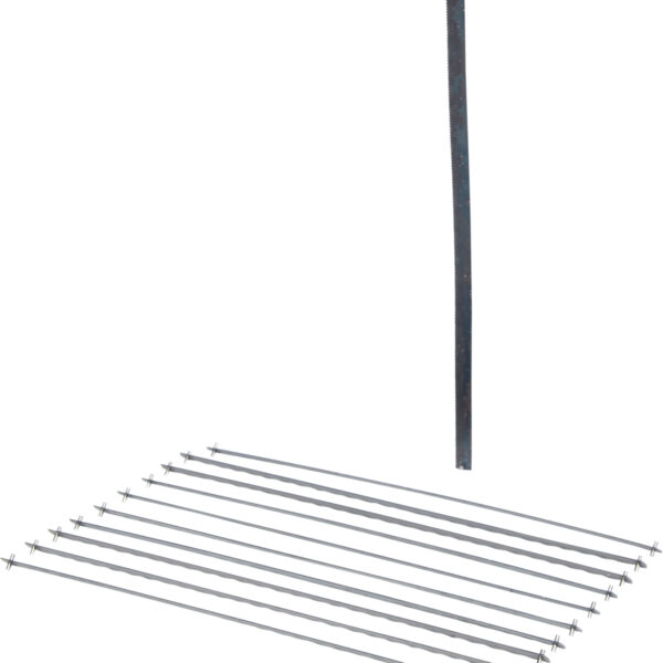 FOT_PRO_VAR_997.1214.2_SALL_AING_V1