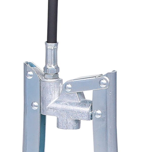 FOT_PRO_ALG_980.1021_SALL_AING_V1