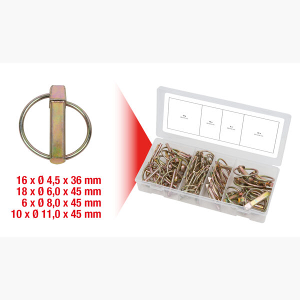 FOT_GES_ALG_970.0550.GB_SALL_AING_V1