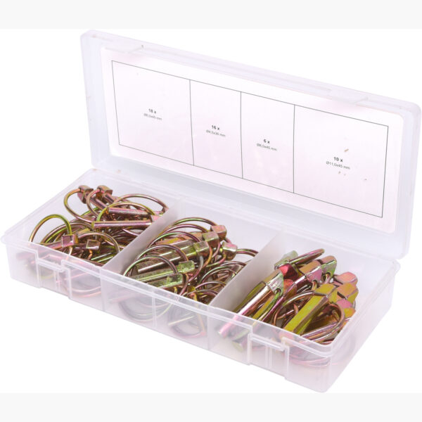 FOT_PRO_ALG_970.0550_SALL_AING_V1