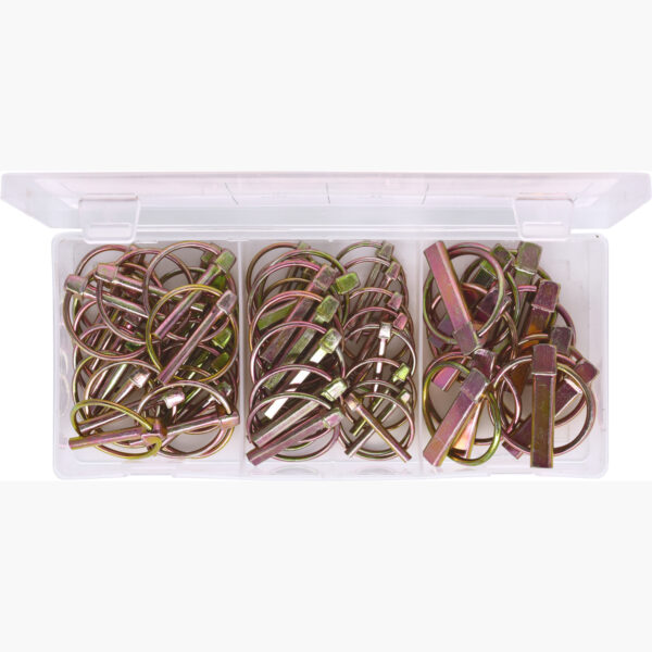 FOT_PRO_VAR_970.0550.TOP_SALL_AING_V1