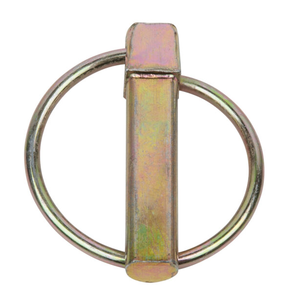 FOT_PRO_VAR_970.0550.4_SALL_AING_V1