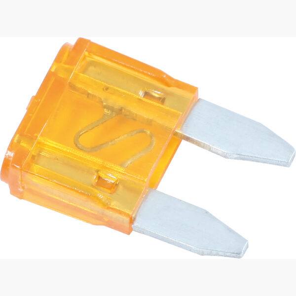 FOT_PRO_VAR_970.0280.4_SALL_AING_V1