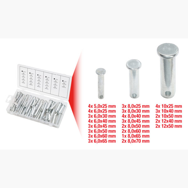 FOT_GES_ALG_970.0210.GB_SALL_AING_V1