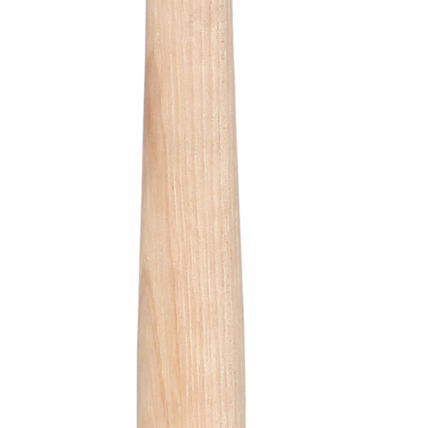 FOT_PRO_ALG_965.1101_SALL_AING_V1