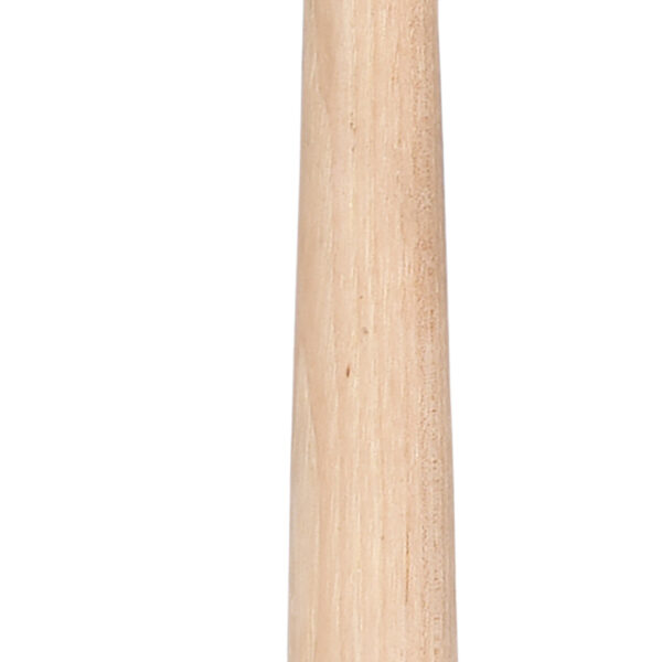 FOT_PRO_VAR_965.1101.2_SALL_AING_V1