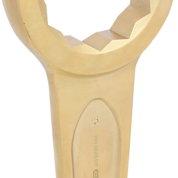 FOT_PRO_ALG_963.7765_SALL_AING_V1