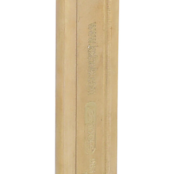 FOT_PRO_ALG_963.7290_SALL_AING_V1