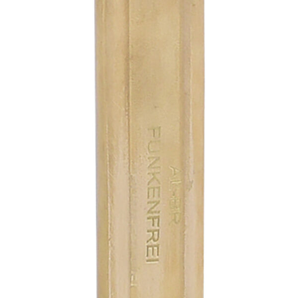 FOT_PRO_VAR_963.7290.2_SALL_AING_V1