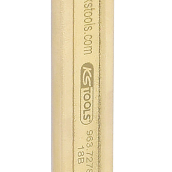 FOT_PRO_ALG_963.7278_SALL_AING_V1