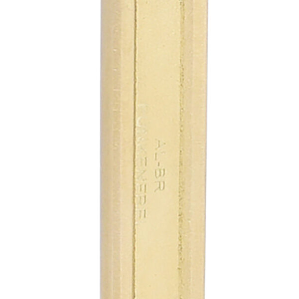 FOT_PRO_VAR_963.7278.2_SALL_AING_V1