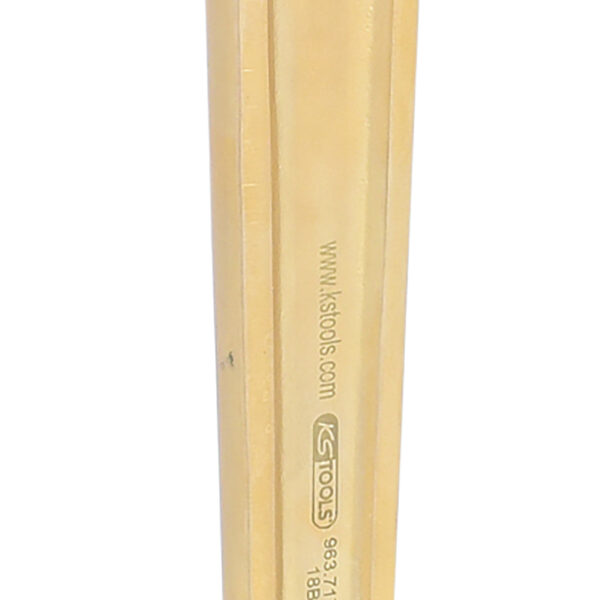 FOT_PRO_ALG_963.7178_SALL_AING_V1