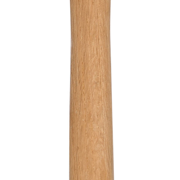 FOT_PRO_ALG_963.2050_SALL_AING_V1