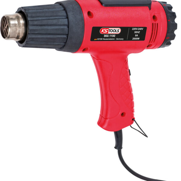 FOT_PRO_ALG_AUTO_960.1191_SALL_AING_V1