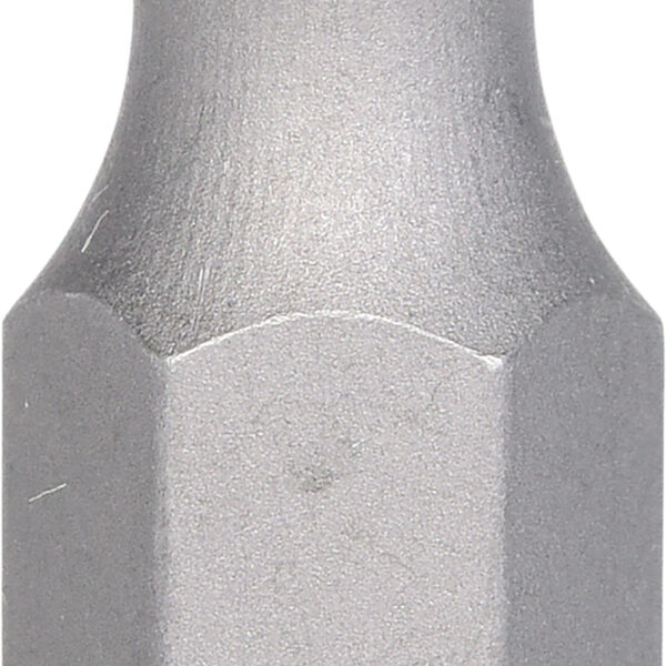 FOT_PRO_VAR_930.2040.6_SALL_AING_V1