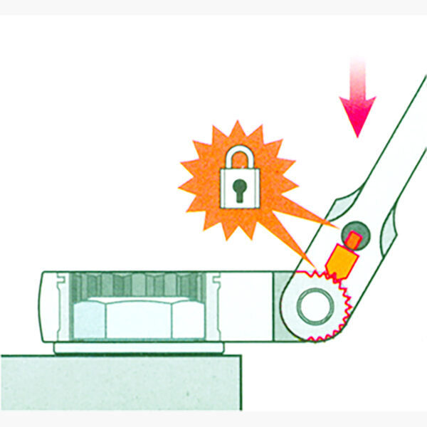 FOT_ANW_ALG_AUTO_918.3500.AW2_SALL_AING_V1