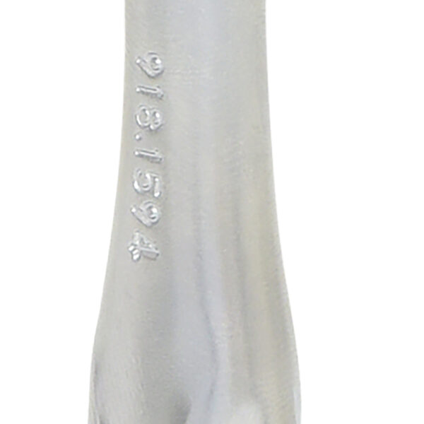 FOT_PRO_ALG_918.1595_SALL_AING_V1